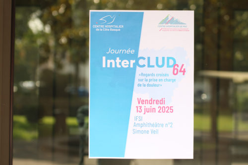 Prise en charge de la douleur : retour sur la journée InterCLUD 64 Bayonne 13 juin
